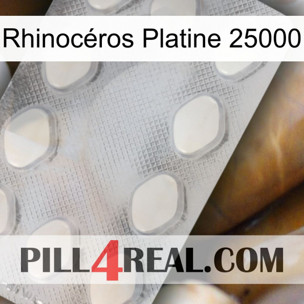 Rhinocéros Platine 25000 16